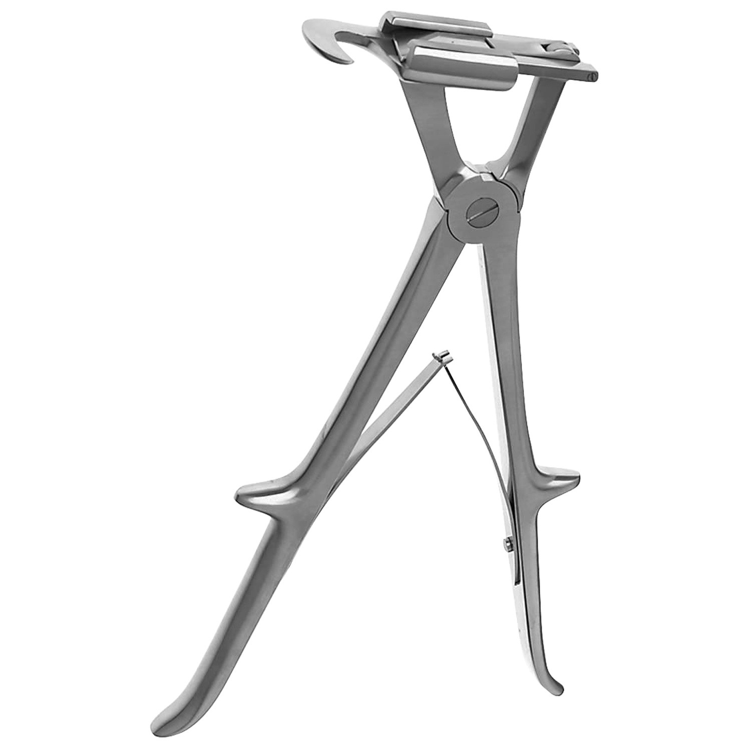 Sauerbruch Rib Shears, 10 1/2" (26.7 Cm)